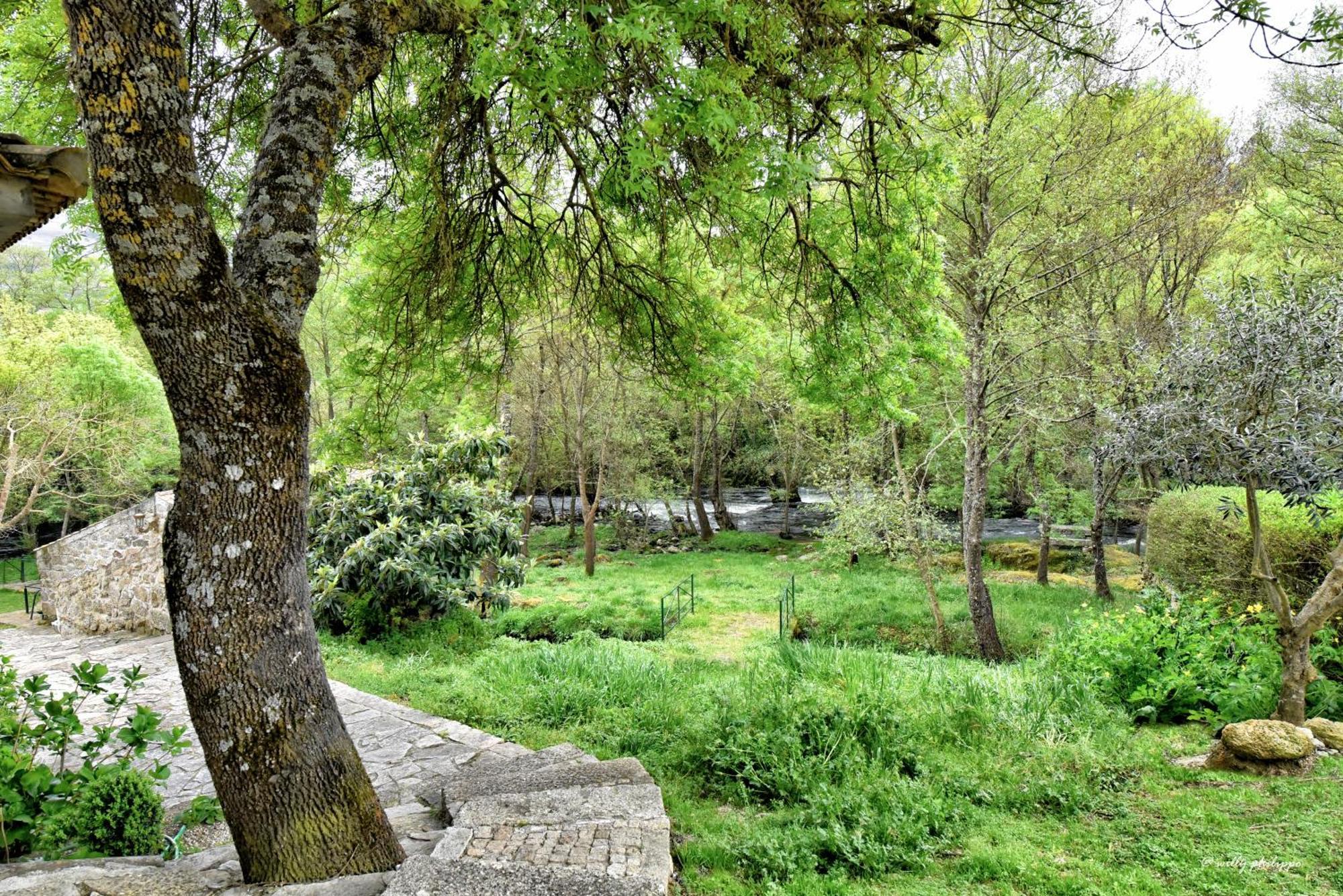 Quinta Do Moinho Turismo De Natureza Aldeia Vicosa Exterior photo